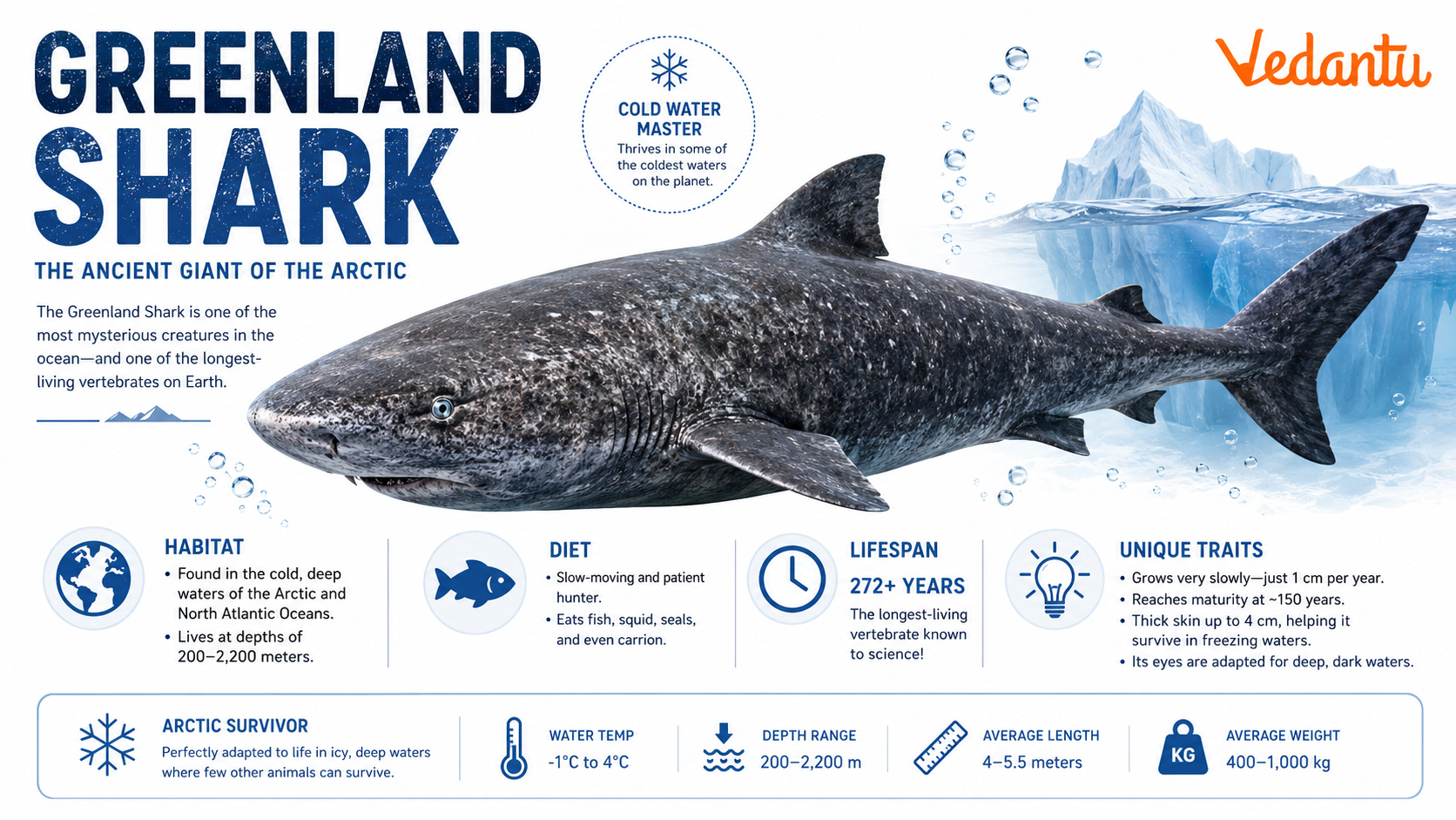Greenland Shark