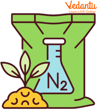 Plants Use Nitrogen Gas