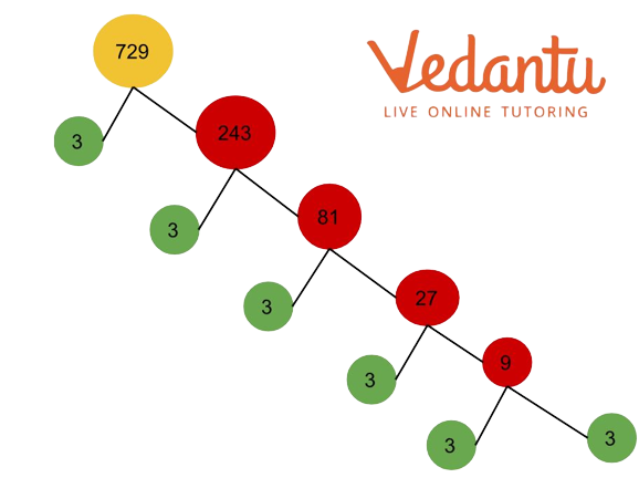 Factor Tree of 729