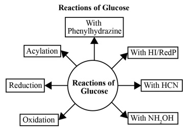 Reactions of Glucose