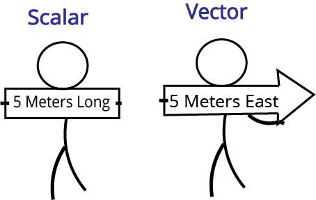 Difference between scalars and vectors