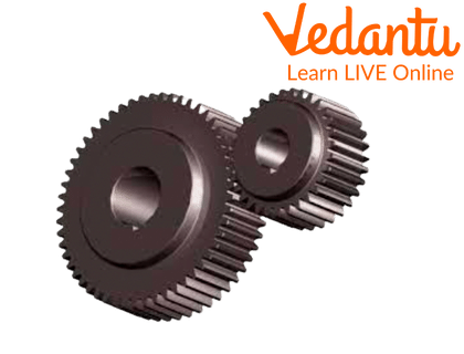 Spur Gear