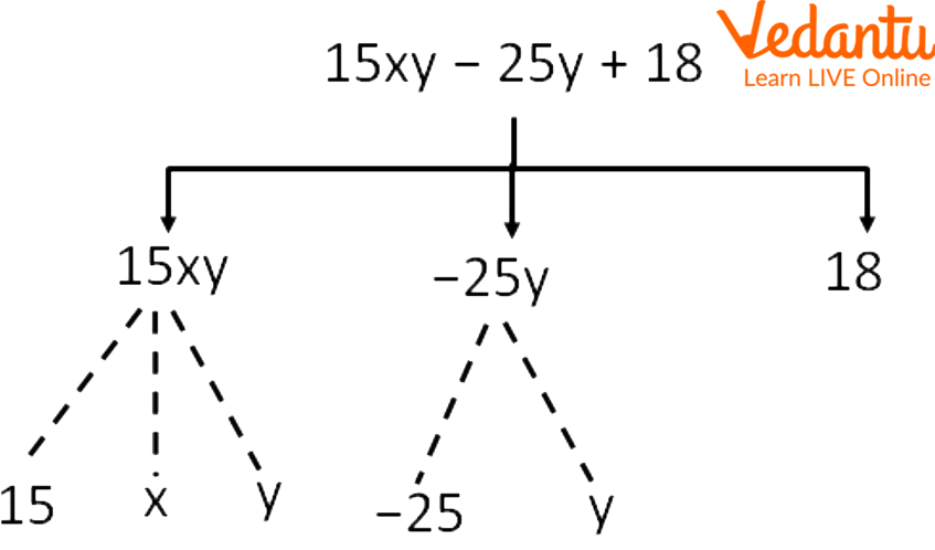 Factors of the Expression