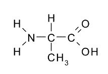 amino acid alanine