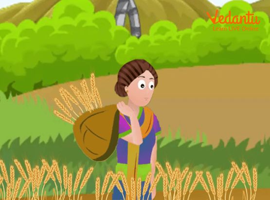 Ruth collecting barley