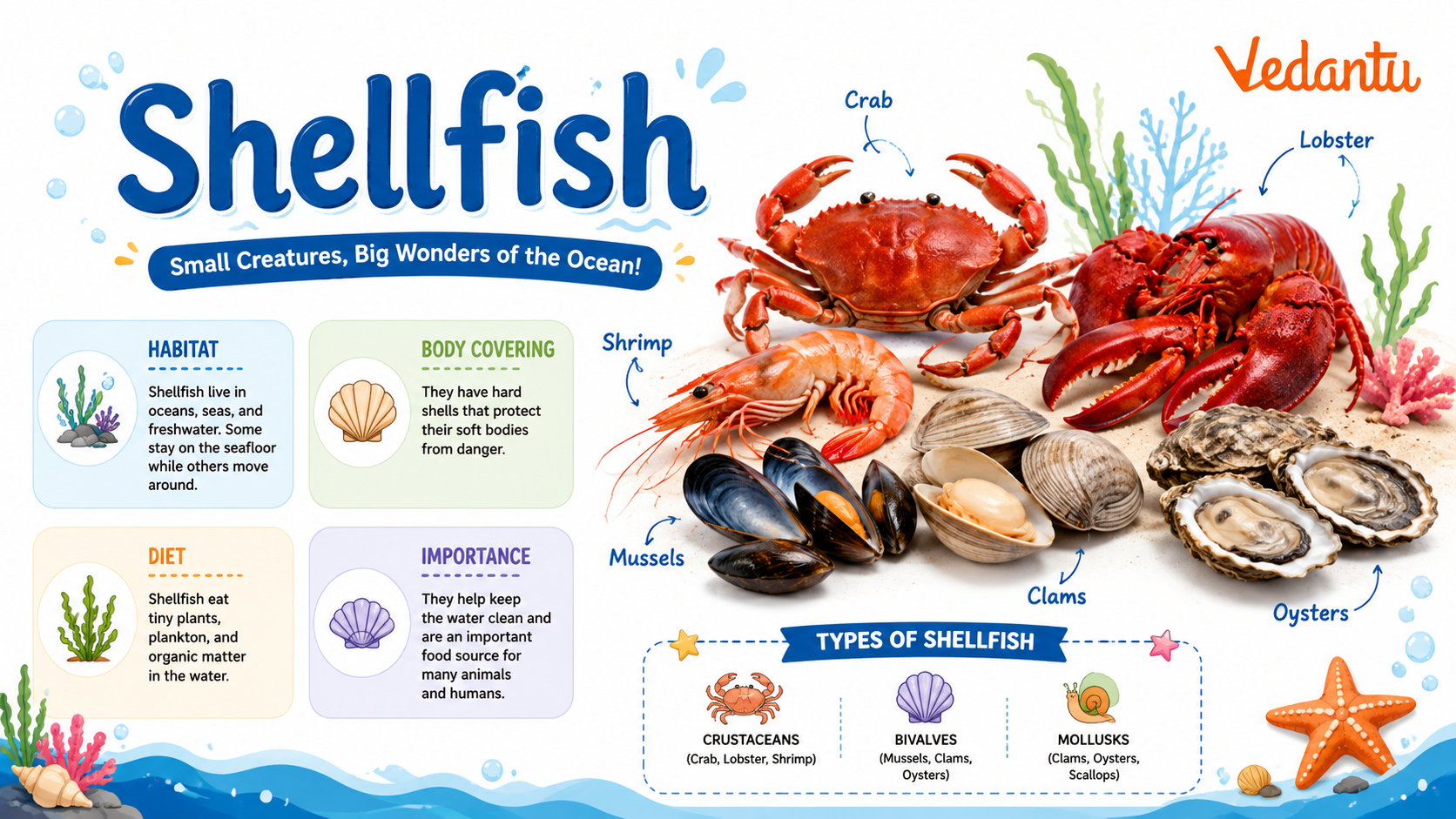 Shellfish