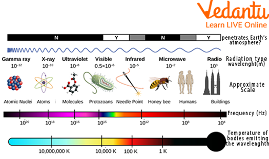 Electromagnetic waves of various rays