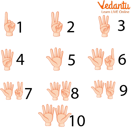 Counting Numbers with hands
