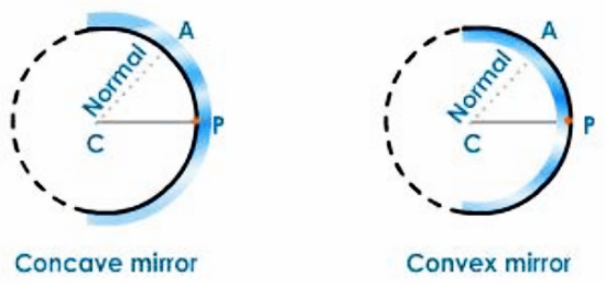 Normal Axis