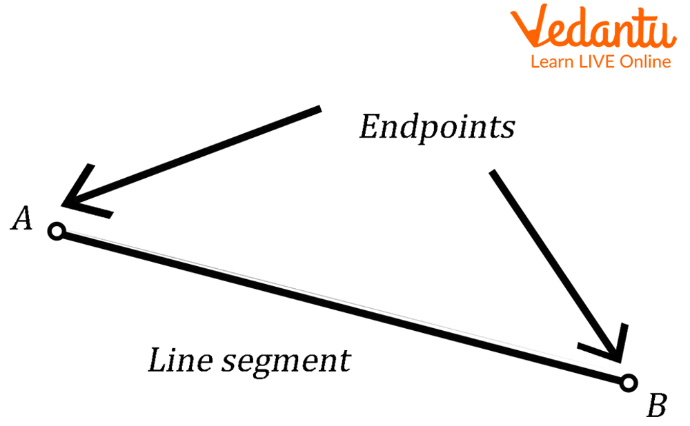 In Geometry, the points on either end of a line segment or one end of a ray are called endpoints.