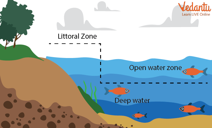 Formation of Freshwater