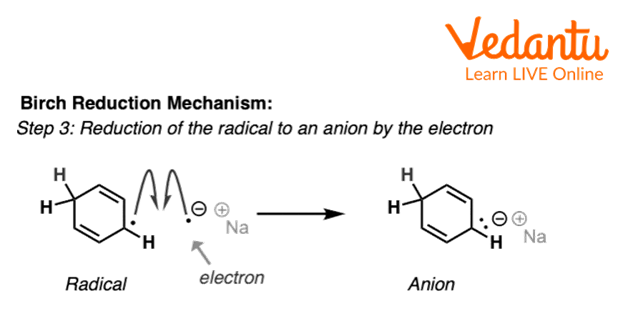 Third Step of Birch Reduction of Benzene