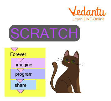 Importance of Scratch Programming
