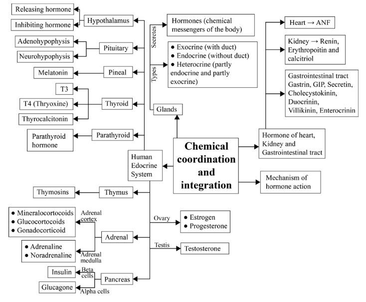 Chemical Coordination and integration