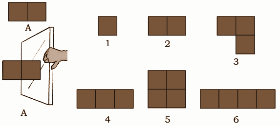 the shapes given along the border. Draw these shapes on the dot grid. Which of the shapes are symmetrical? Draw the lines of symmetry