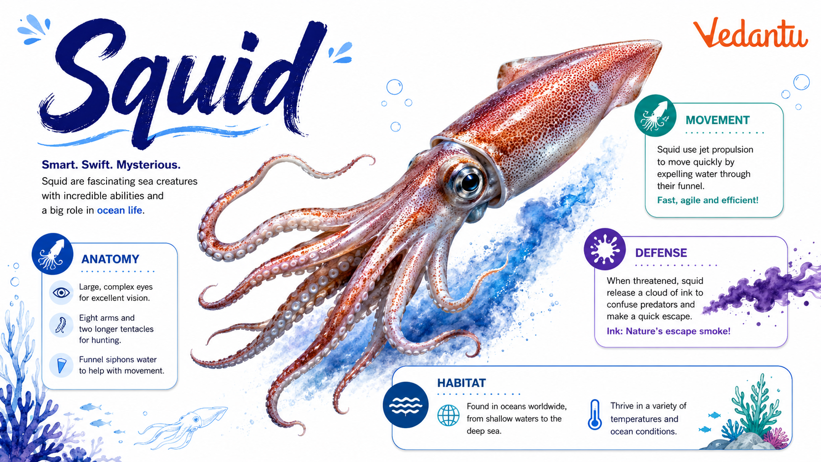 Squid marine animal with long tentacles swimming in the ocean