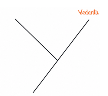 Question 4. How would we check if two figures like the one below are congruent?