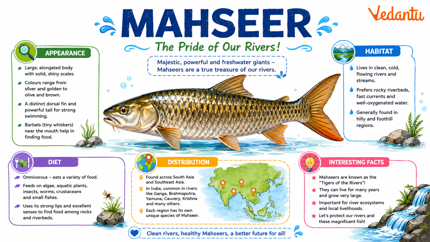 Mahseer fish