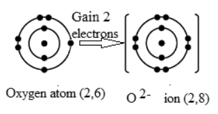Diagrammatic representation of formation of o2ー