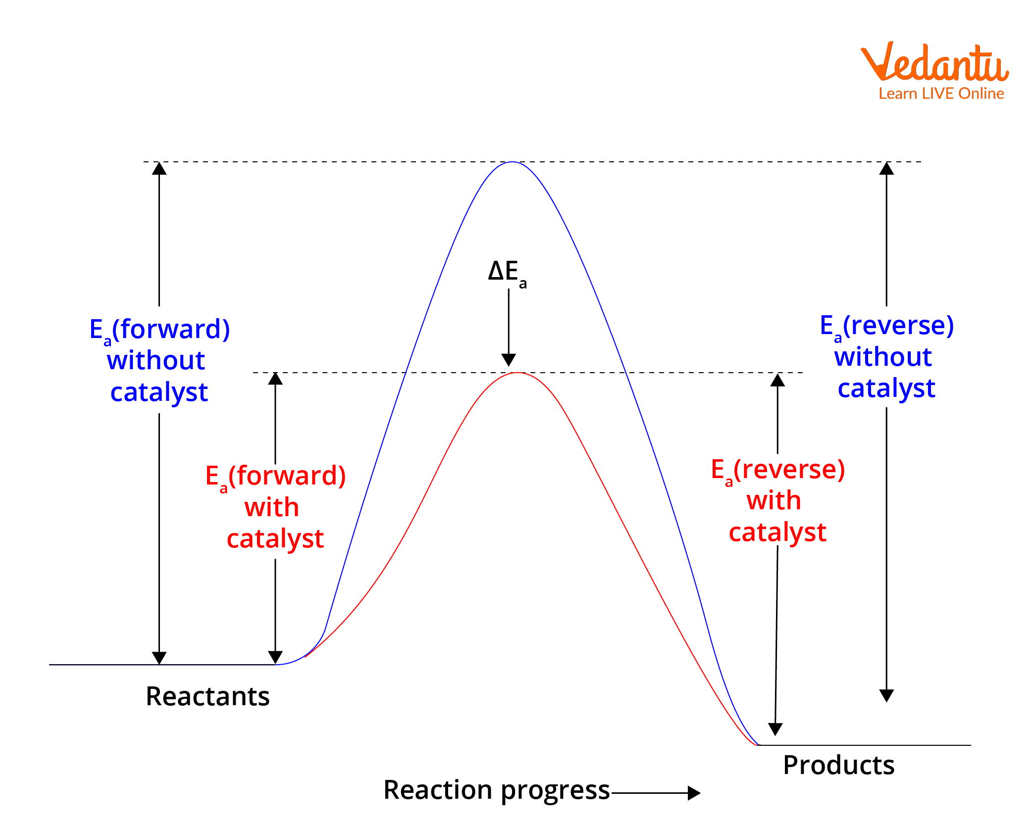 Effect of Catalyst