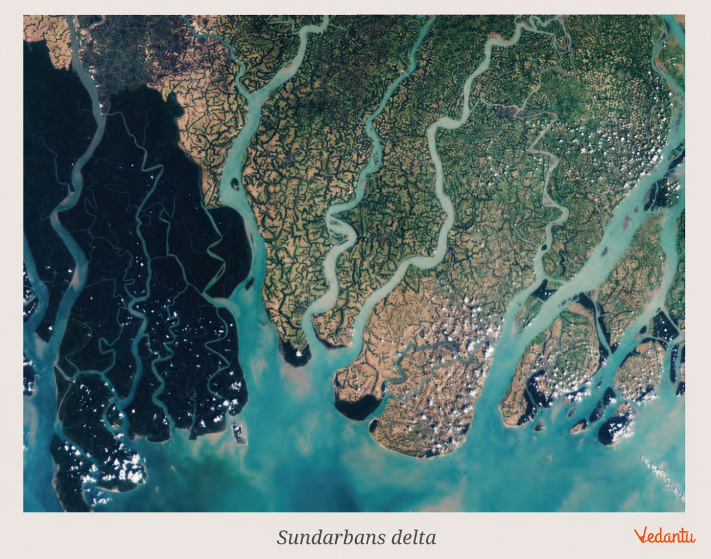 Sundarbans delta