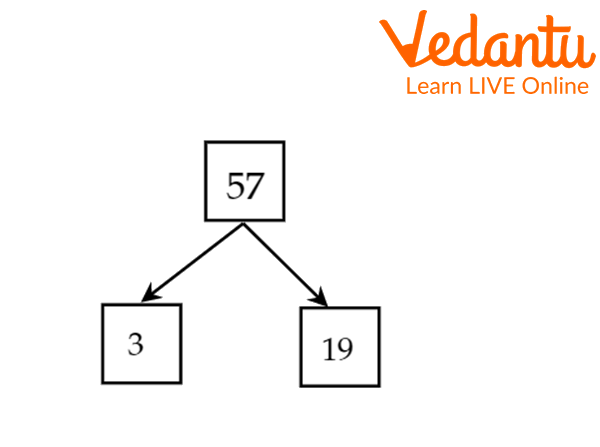 Factor tree of 57