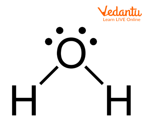 Water Molecule