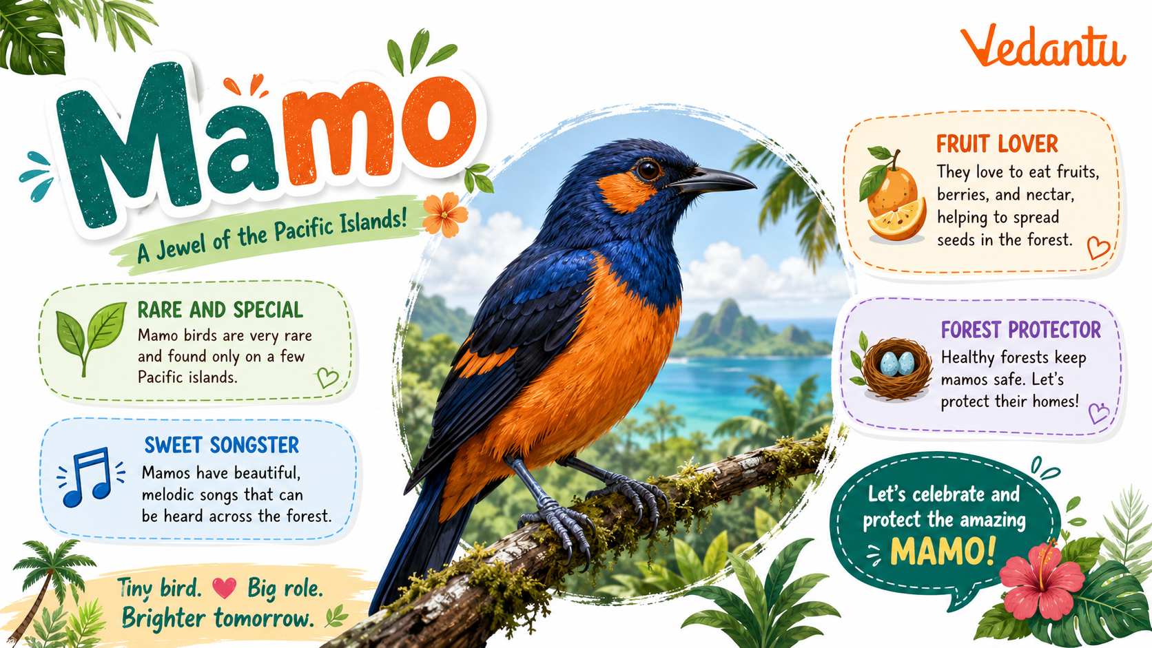 Mamo bird