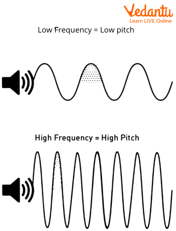 Frequency and Pitch of Sound Waves