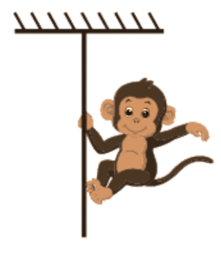 A Monkey of Mass 40kg Hanging on a Rope