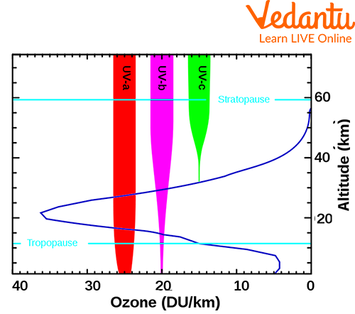 What Are The Uses of UV Light?