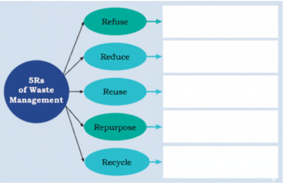 Write down one step you can take for each of the 5Rs in the boxes given below