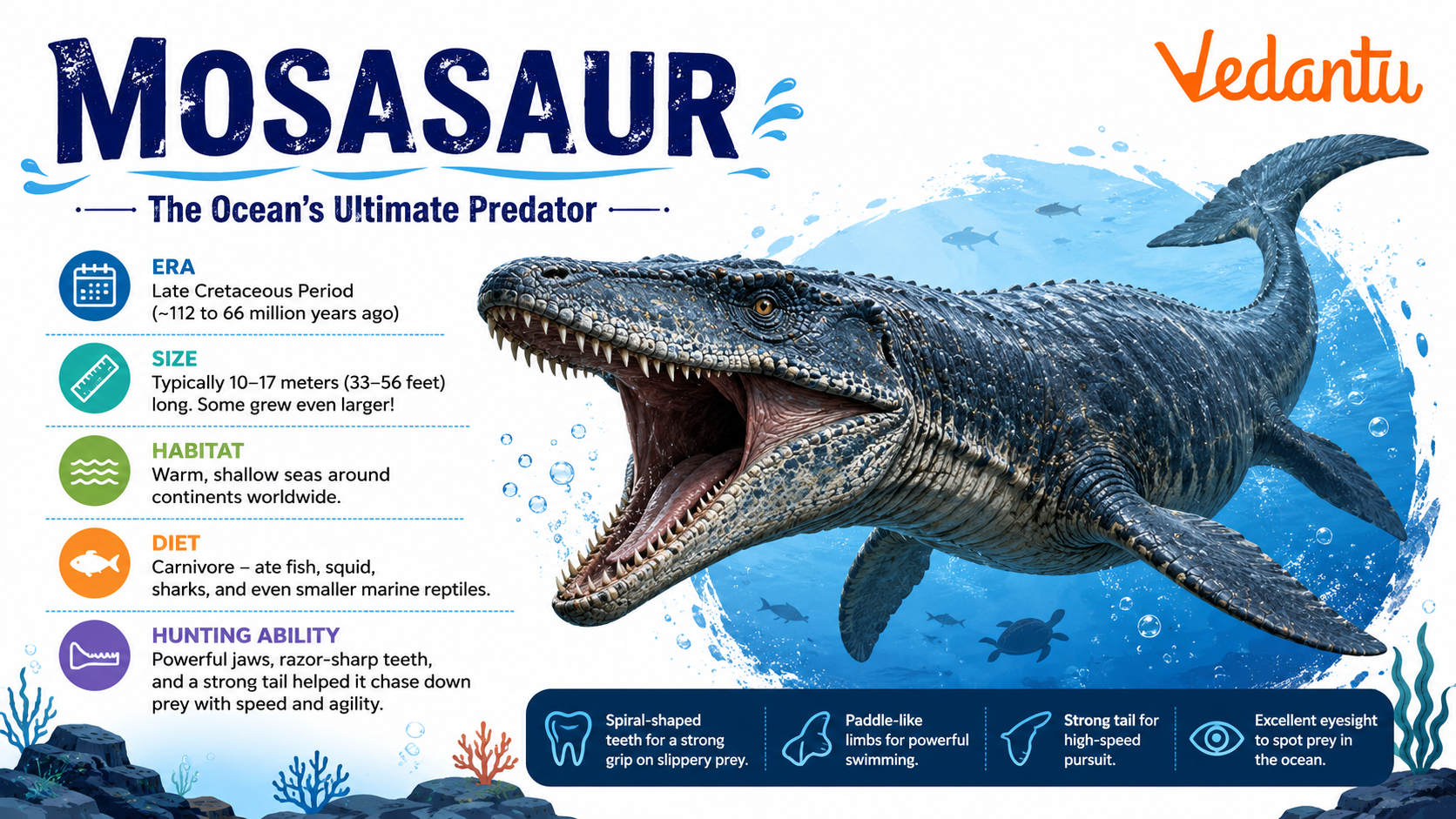 Mosasaur prehistoric marine reptile