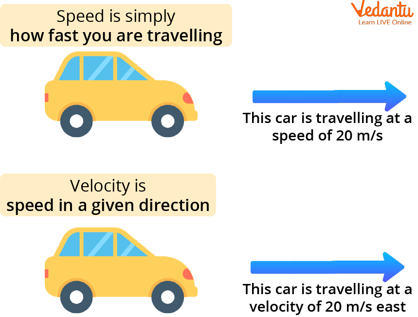 Speed and Velocity