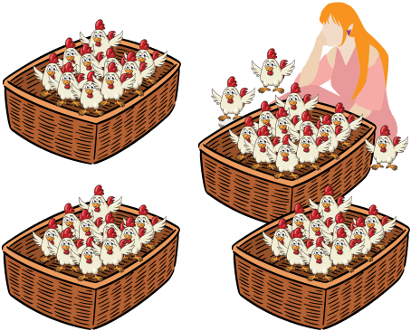Baskets filled with chickens