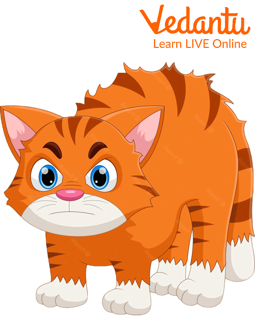 Types of Cat Sounds Learn with Examples for Kids