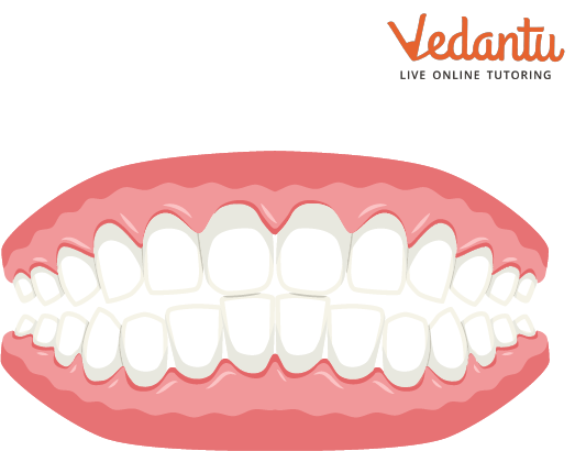 False teeth consisting of hydrocarbon