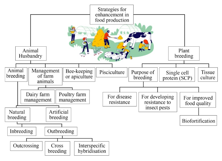 Strategies for Enhancement in Food Production