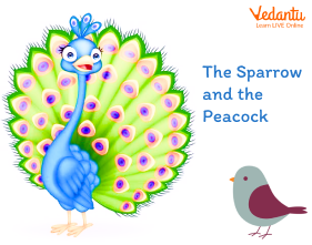 The Sparrow and the Peacock