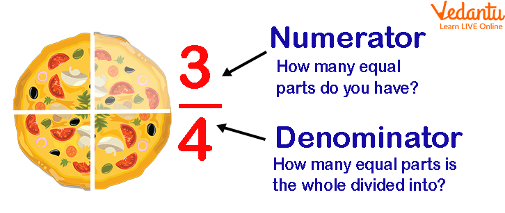 Numerator and Denominator