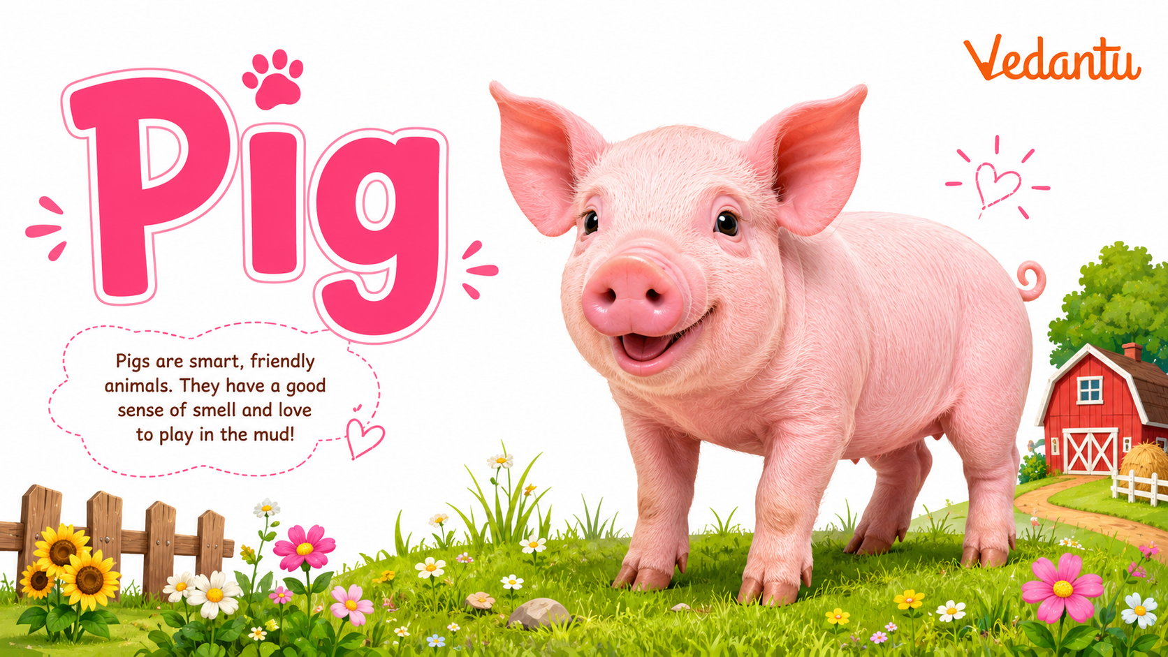 Pig animal standing on grass