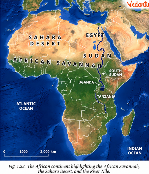 On the map (Fig. 1.22), locate the course of the River Nile. Where does it originate from and in which direction does it flow? Turn to the political map at the end of the book, and identify some of the areas that the river flows through.