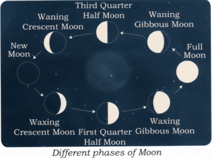 Observe the Moon in the sky and draw the shapes of the Moon you have observed on different nights. answer