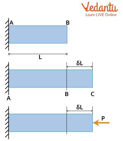 Thermal stress in a rod