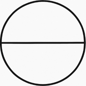 A pizza is cut into two equal pieces