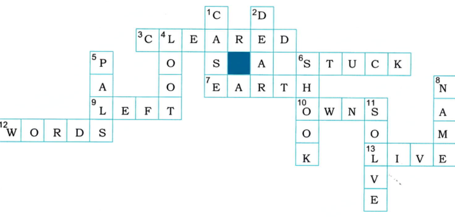Work in pairs. Solve the crossword puzzle given below with the clues in the form of anagrams.
