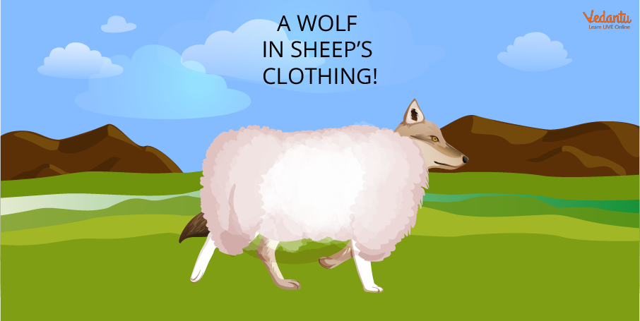 A Wolf in Sheep’s Clothing