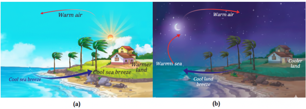 (a) Sea breeze (b) Land Breeza
