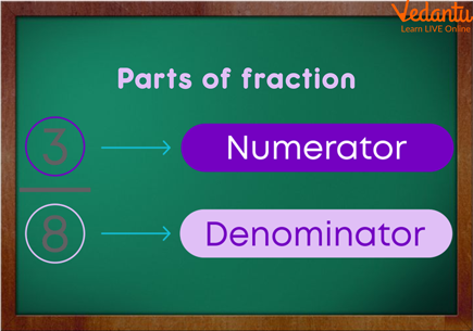 The Numerator and the Denominator