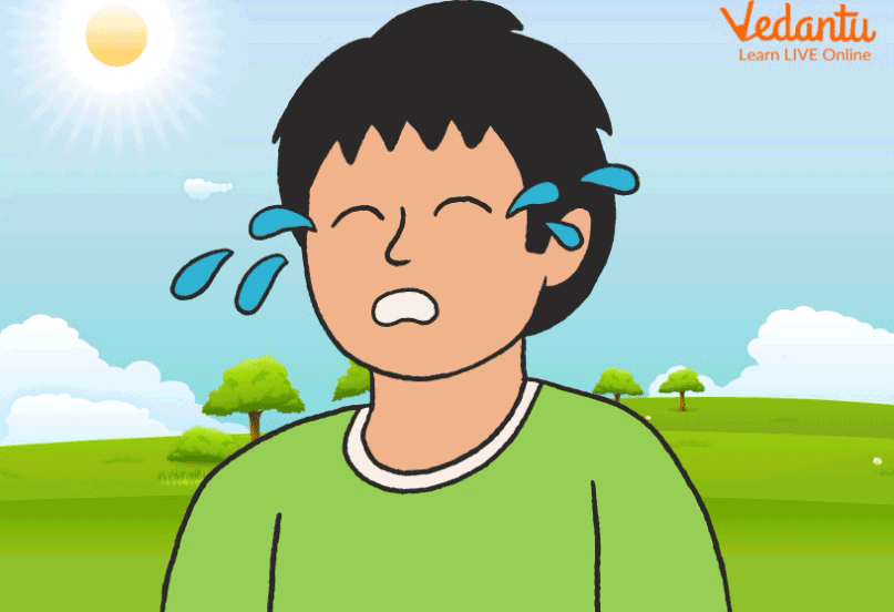 Little kid crying